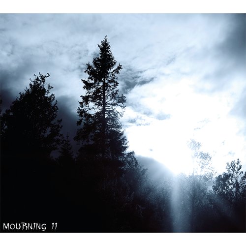 Lost In Desolation - Mourning II Digi-CD