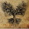 Buttefrly Effect - Our Land Digi-CD