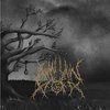 Anwynn - Voices Of Perdition CD