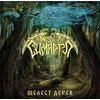 Simargl - Shelest Derev CD