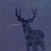 Cold Body Radiation - Deer Twillight CD