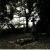 Sombre Présage - Le chant des morts CD