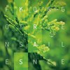 Forgotten Silence - Kras CD