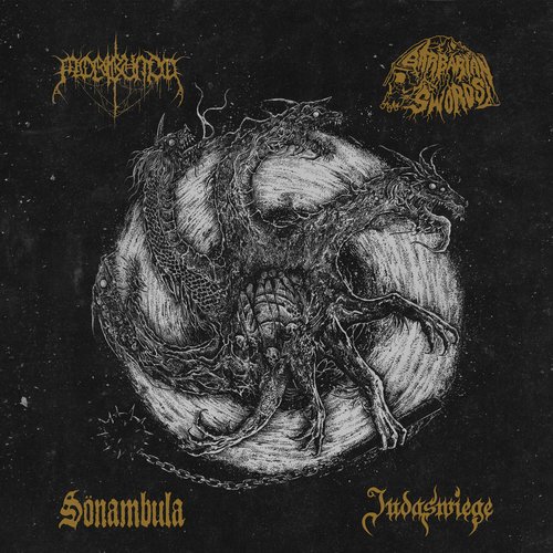 Tetrarchia Ex Bestia - Split Digi-CD