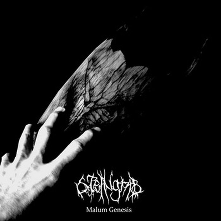 Steingrab - Malum Genesis CD