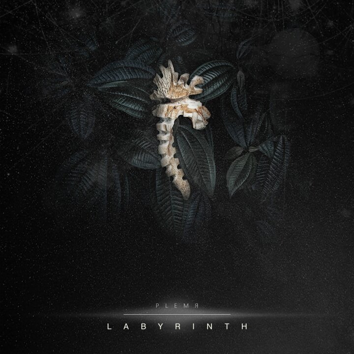 Plemya - Labyrinth CD