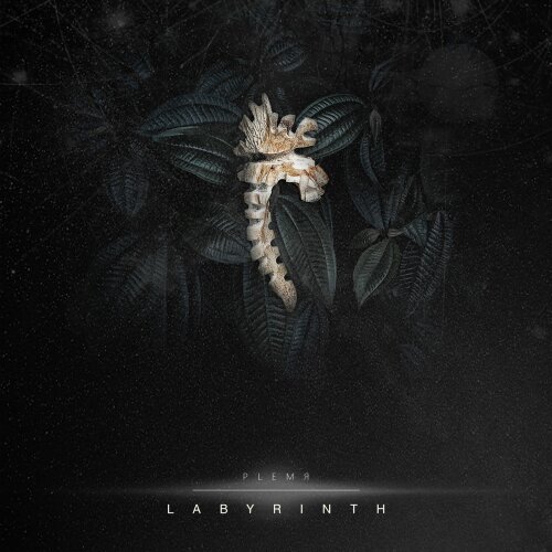 Plemya - Labyrinth CD