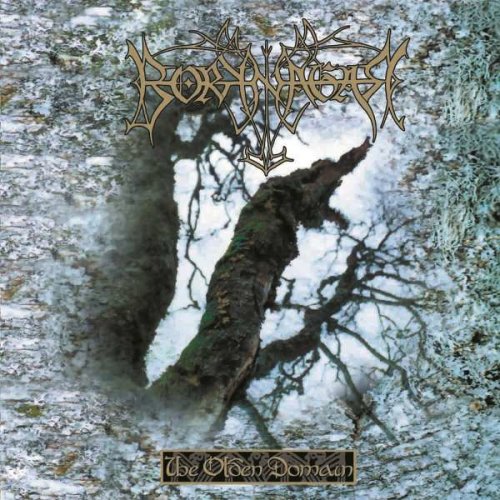 Borknagar - The Olden Domain CD