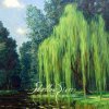 Shallow Rivers - The Tales Told Under the Willow CD