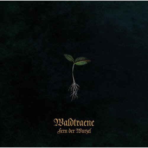 Waldtraene - Fern der Wurzel (2025) CD