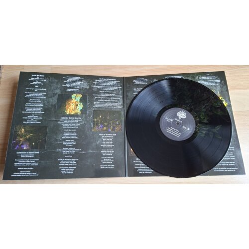 Asaru – V.O.I.D. BLACK VINYL LP